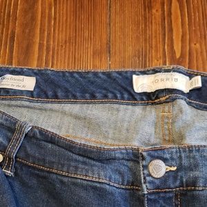 Torrid jeans
